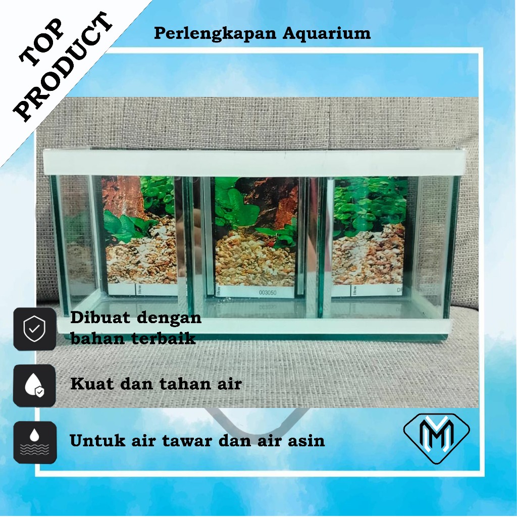 aquarium minimalis full set sekat tiga sudah dapat berbagai perlengkapan tinggal pakek.