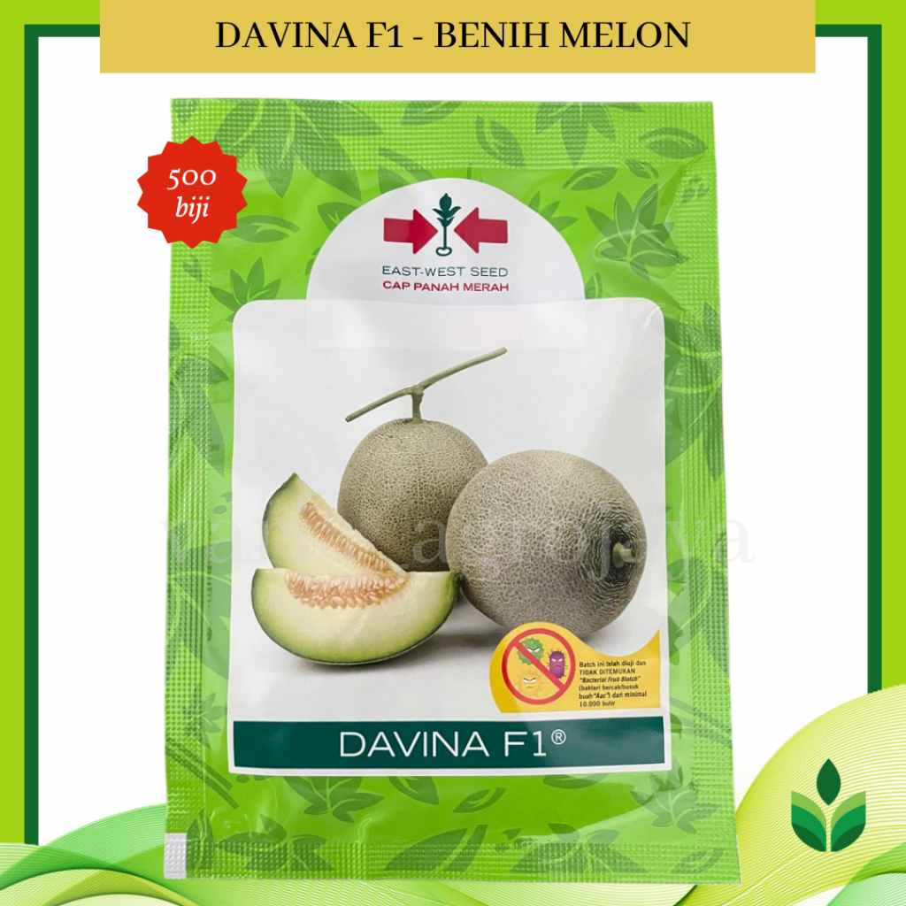 Benih Bibit Melon Davina F1 500 Biji - Cap Panah Merah