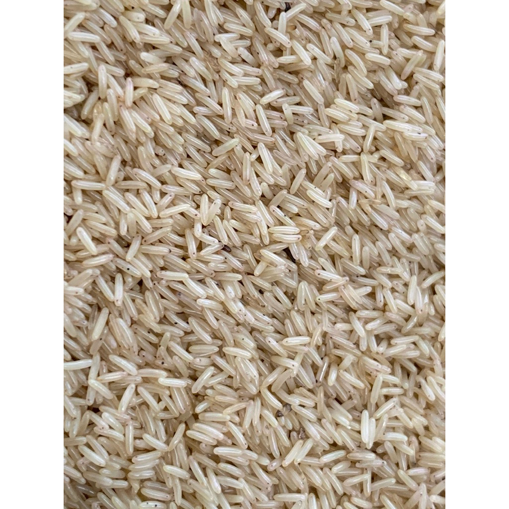 Telur Jangkrik Madu Kunyit Full Kuning