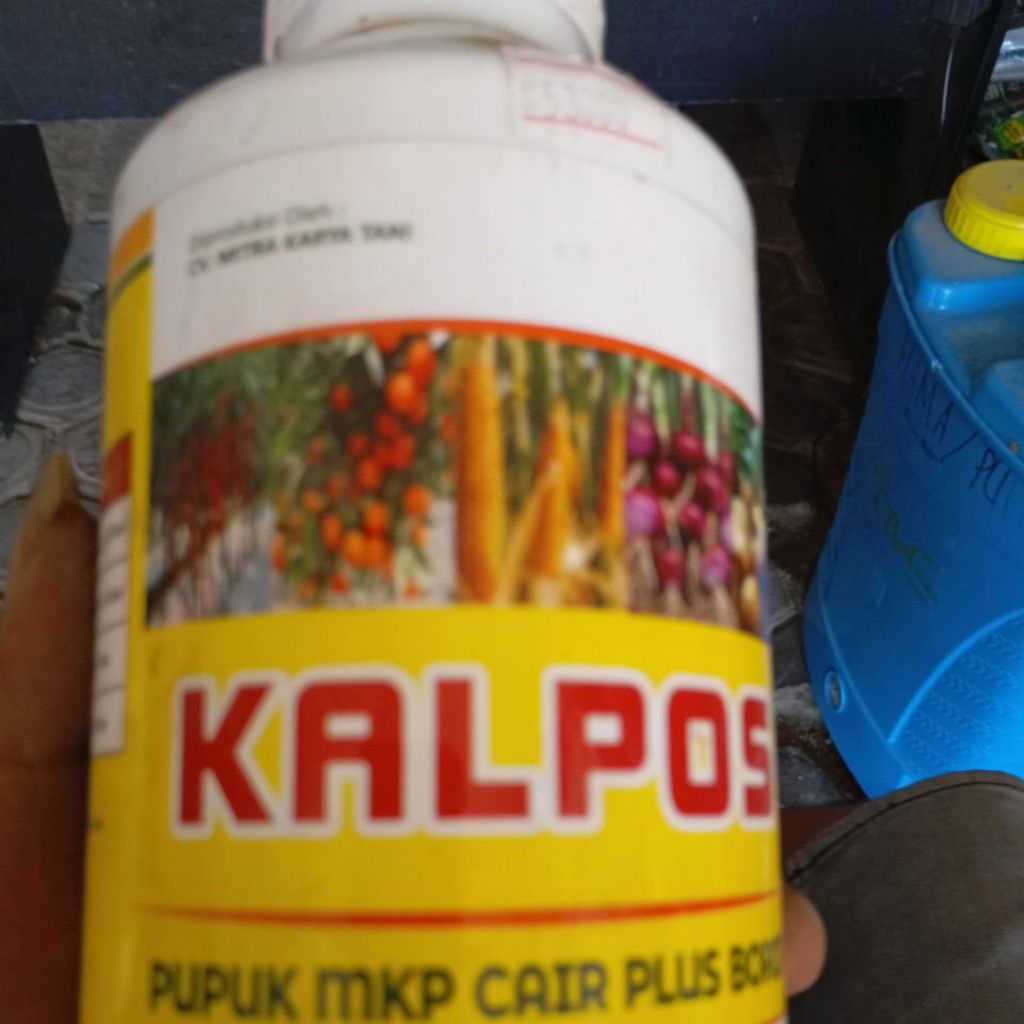 KALPOS Pupuk MKP Cair Plus Boron 1 Liter – Pupuk Pembentuk Bunga & Buah | Pupuk Daun Cair