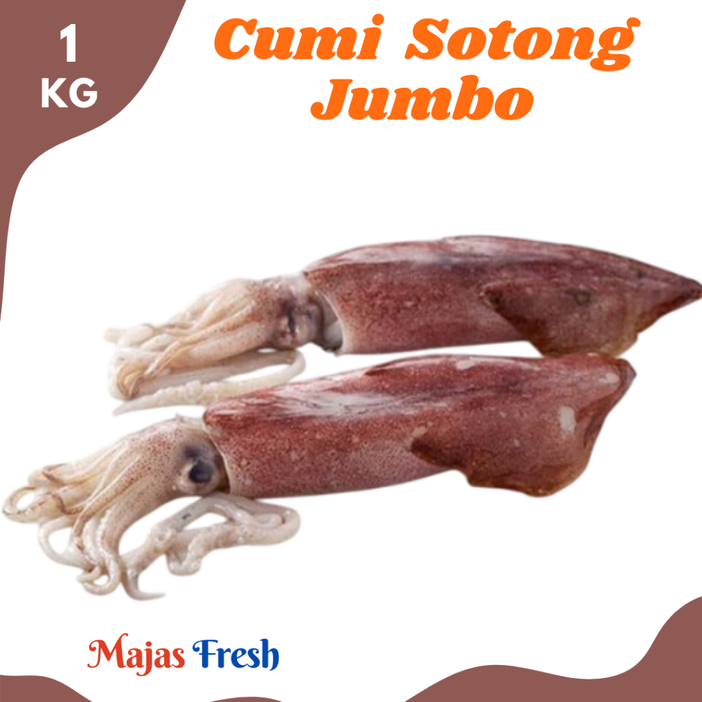 CUMI SOTONG Jumbo Segar - Cumi Utuh Sotong Besar Fresh | Isi 2-3 Pcs - 1.000gr [ Harga Per KG ]