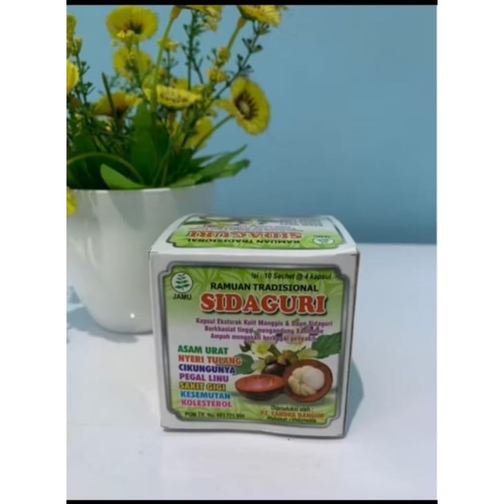 kapsul Sidaguri original