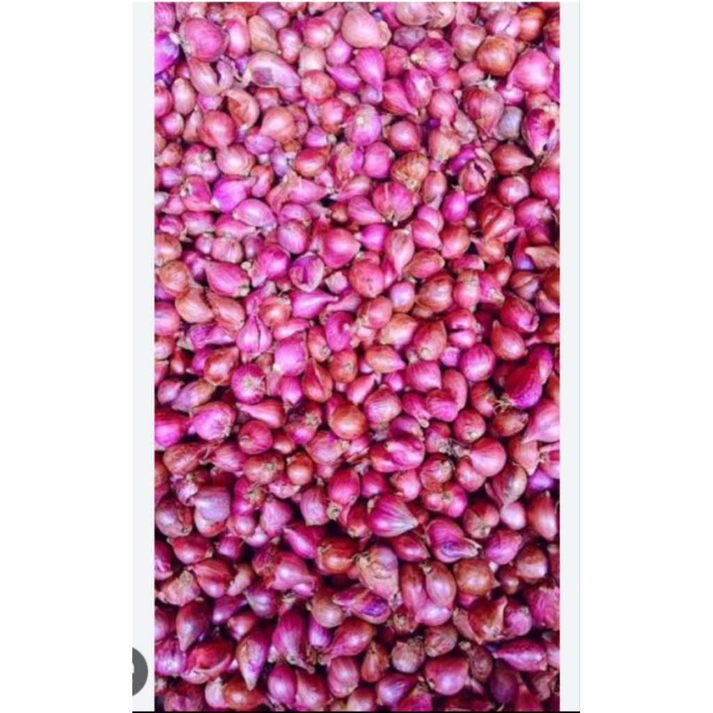bawang merah - bawang putih 1kg