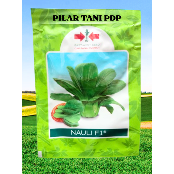 10 gr | Benih Sawi Pakcoy Nauli
