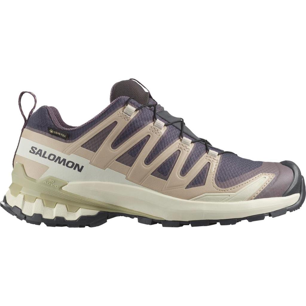 SALOMON XA PRO 3D V9 GTX Women Trial Running Shoes Sports Sneakers Sepatu Lari Wanita Hiking Shoes