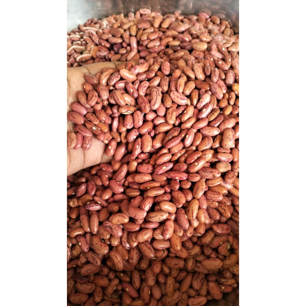 KACANG MERAH 1KG