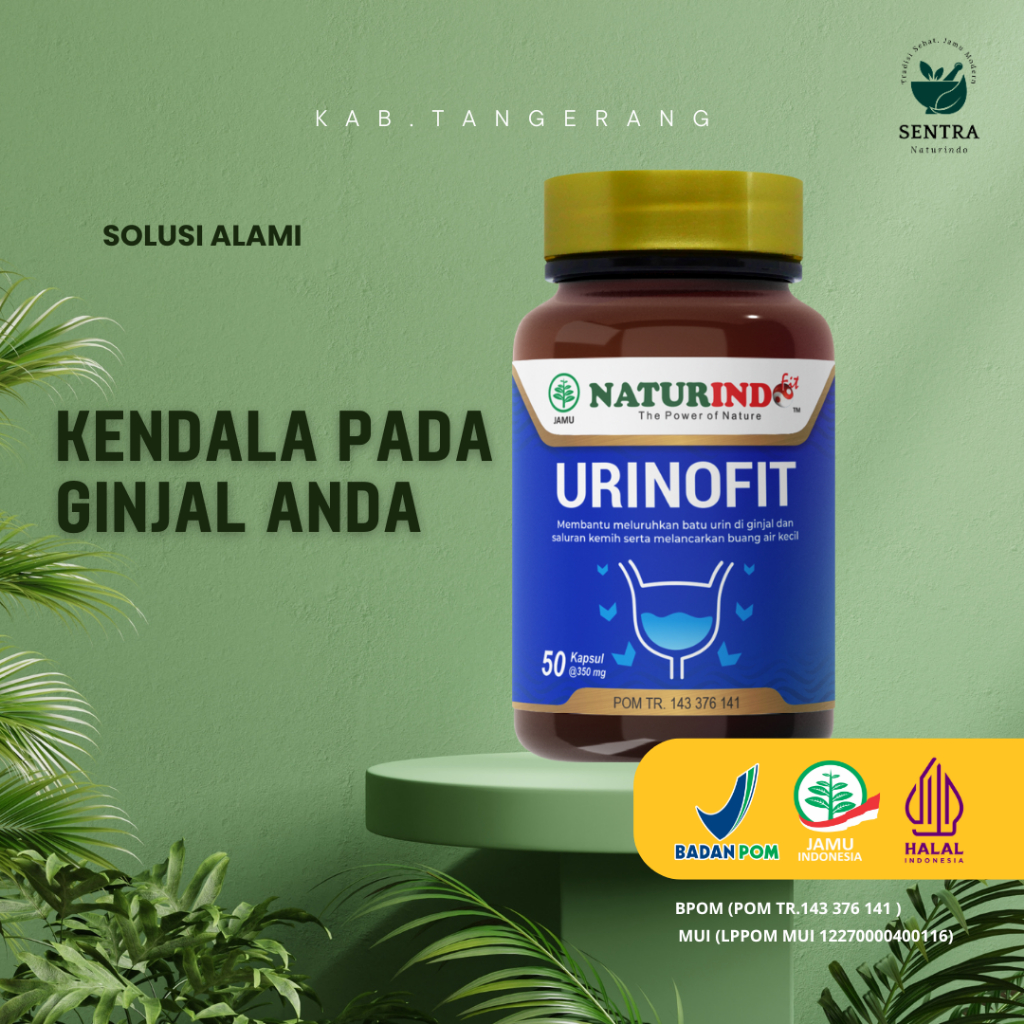 Herbal Alami Khusus Mengatasi Batu Ginjal Prostat Urinofit Naturindo