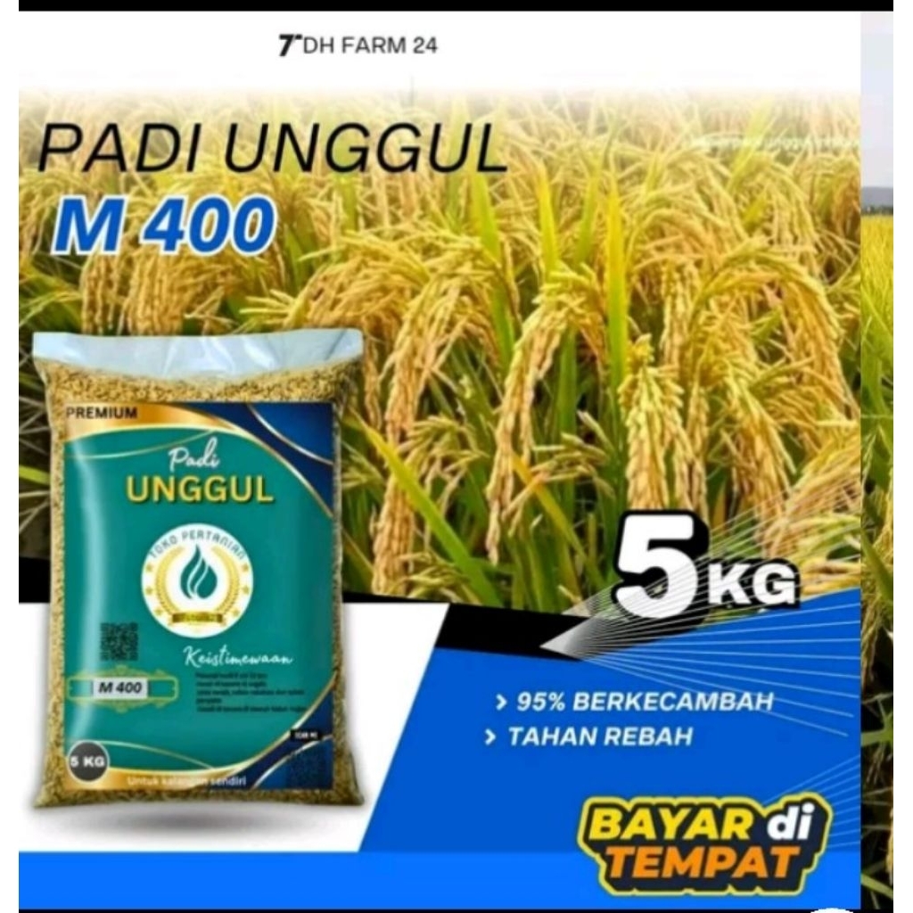 padi unggul m400 5kg