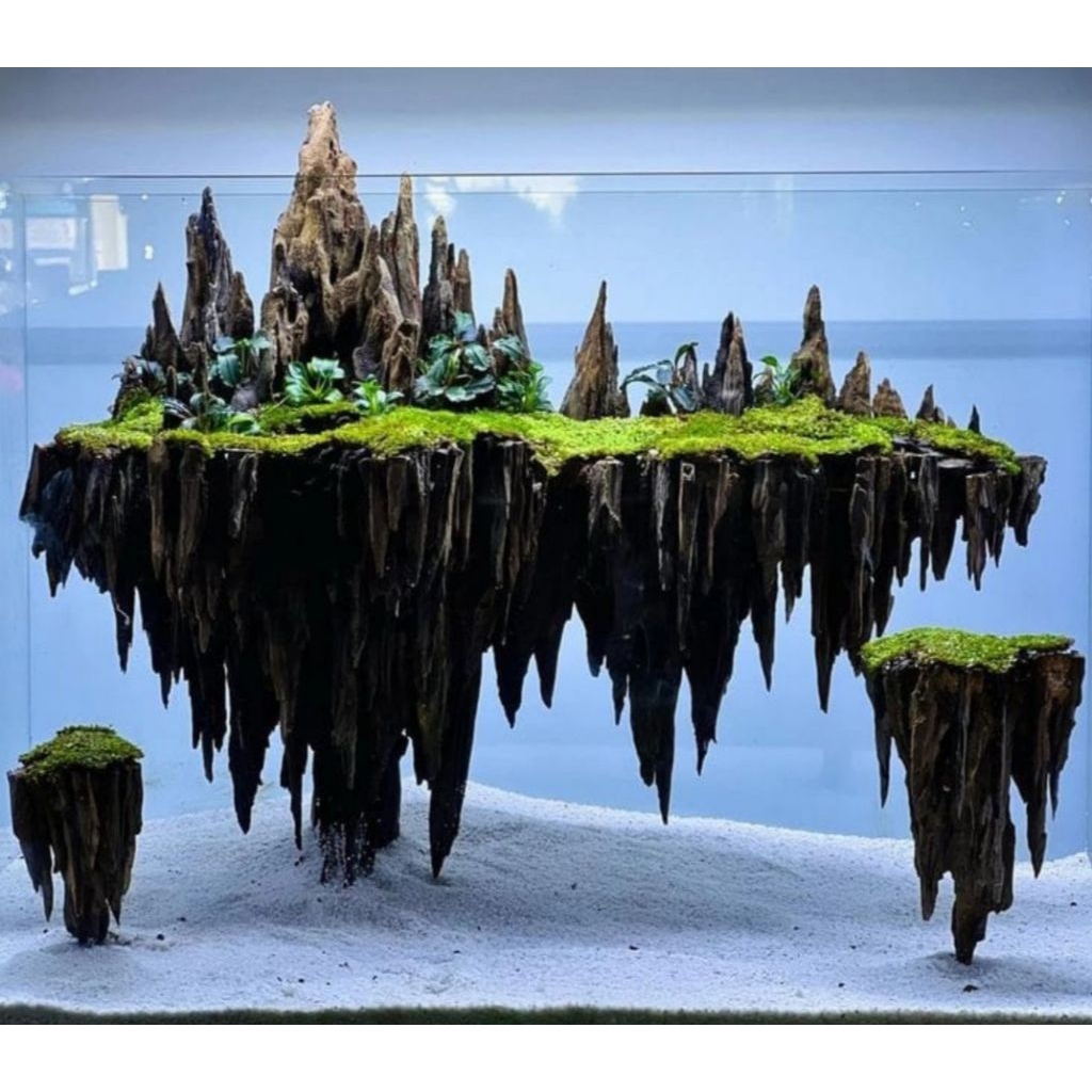 Kayu posil rentek aquascape /kayu rangkaian aquascape avatar/dekorasi aquarium