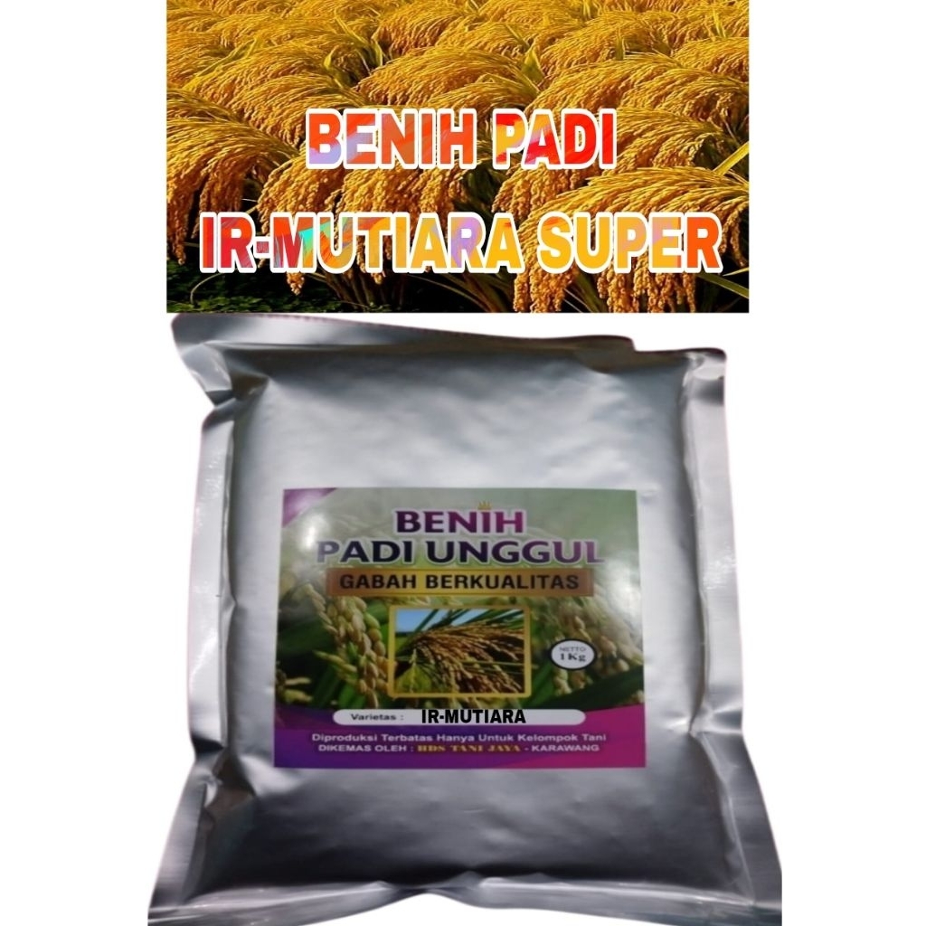 Benih padi 1kg IR-MUTIARA SUPER unggul berkualitas ORI LABEL PUTIH