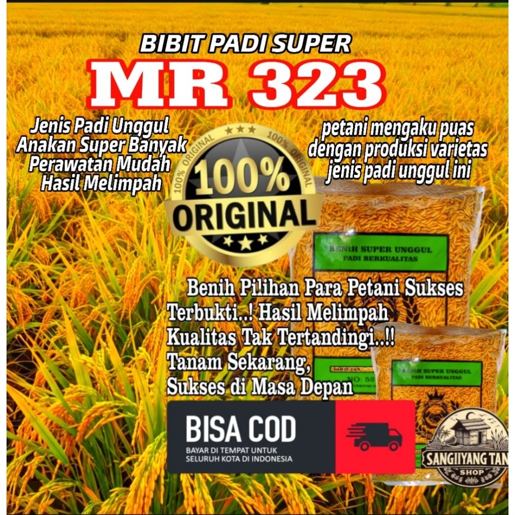 Benih bibit padi super 1kg Mr 323