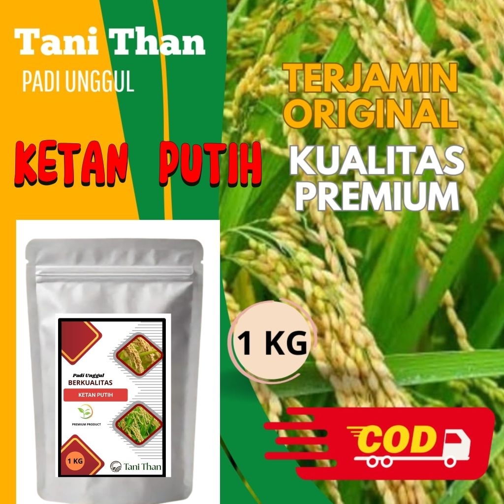 Benih Padi Ketan Putih 1kg