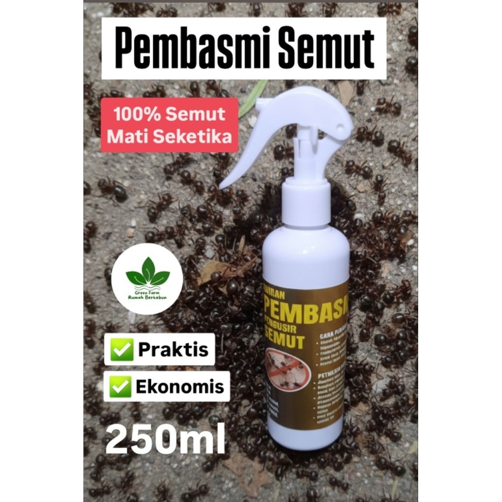 Cairan Pembasmi Semut | Racun Semut 250ml