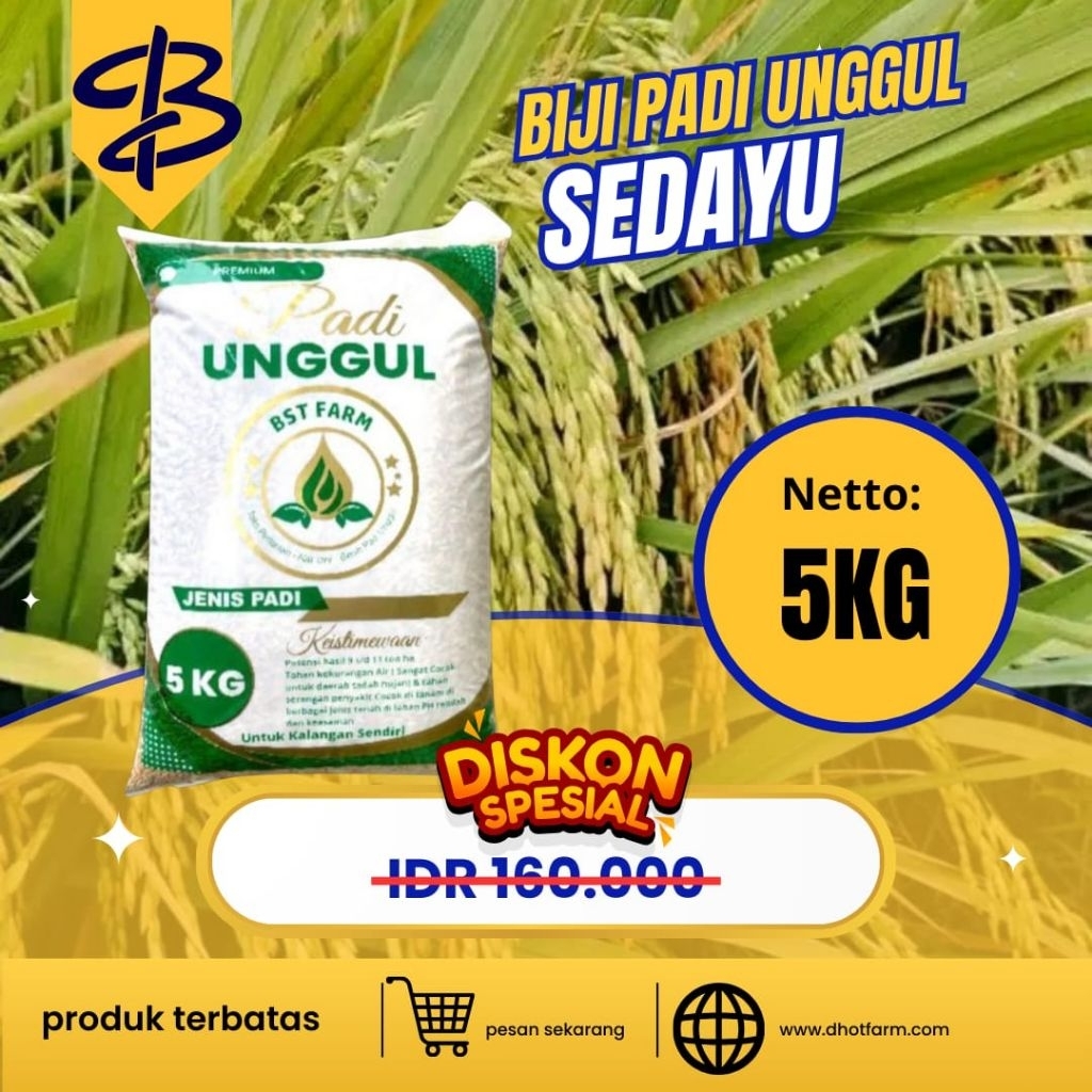 Benih padi SEDAYU kemasan 5kg