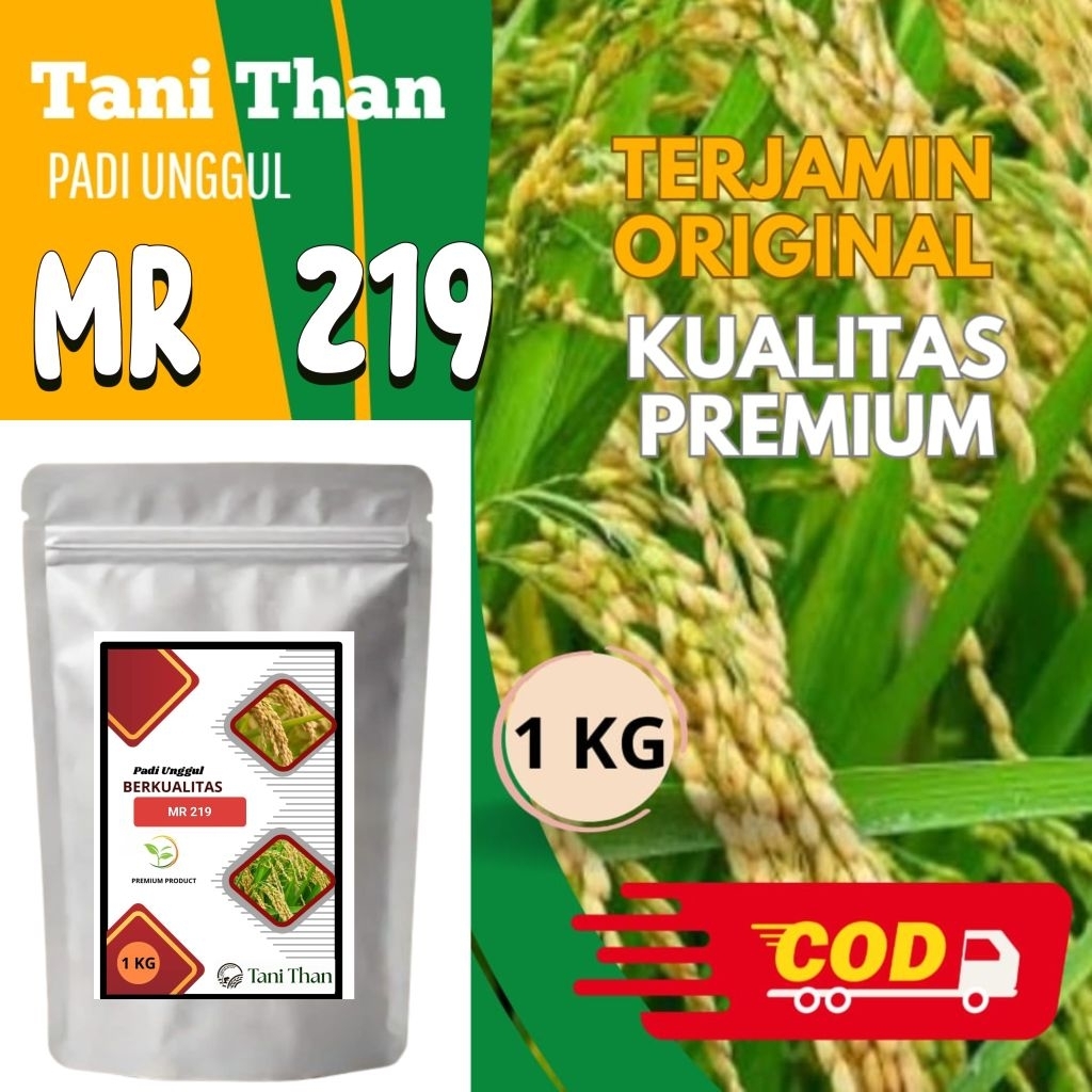Benih Padi Mr 219 kemasan 1 kg
