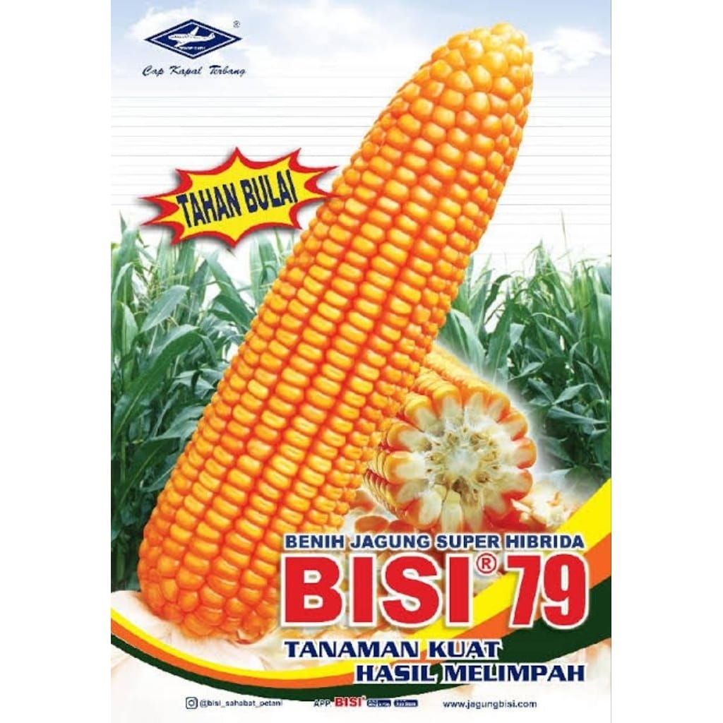 COD.. BENIH BIJI JAGUNG HIBRIDA TURUNAN SUPER BISI 79 1 KG