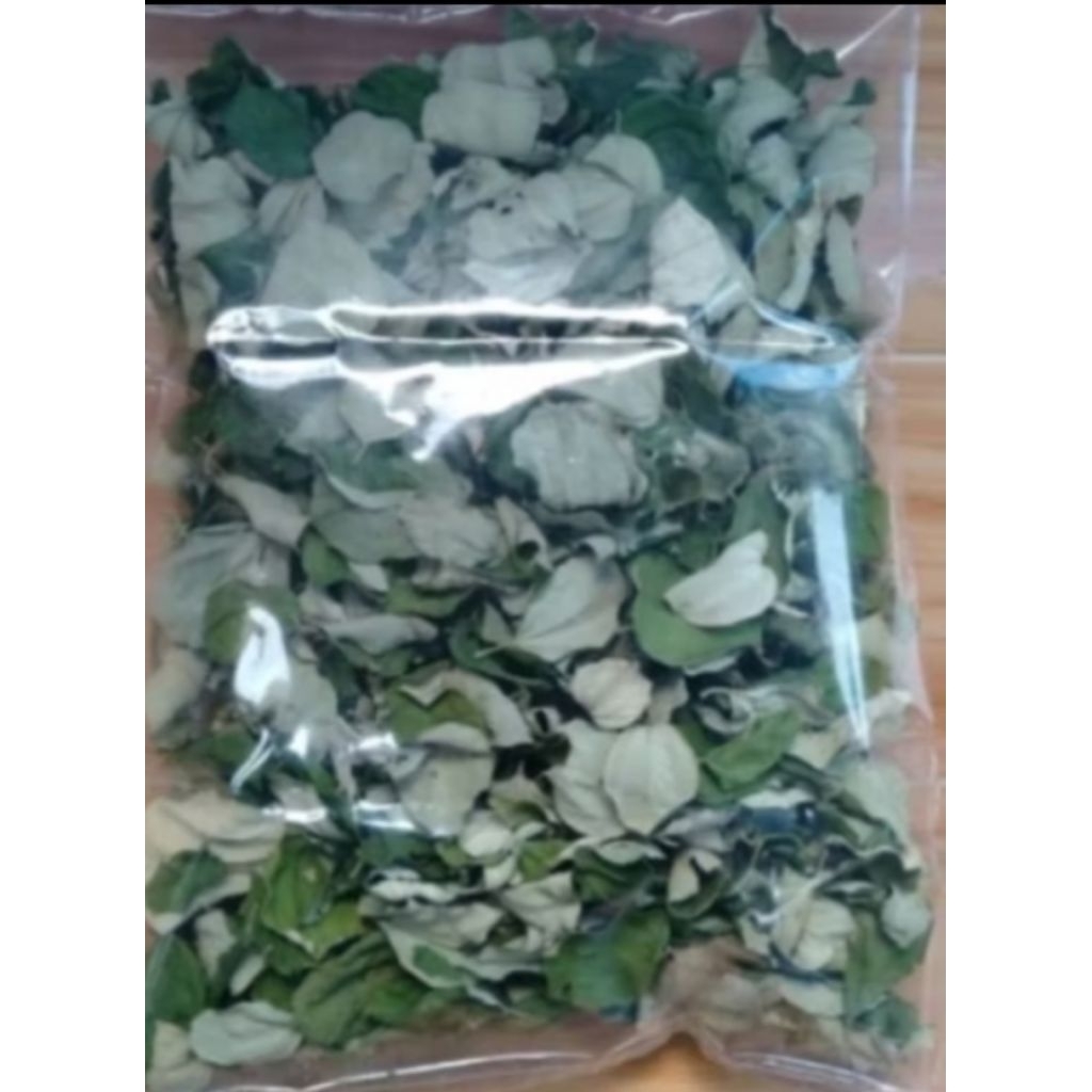 Teh daun bidara kering