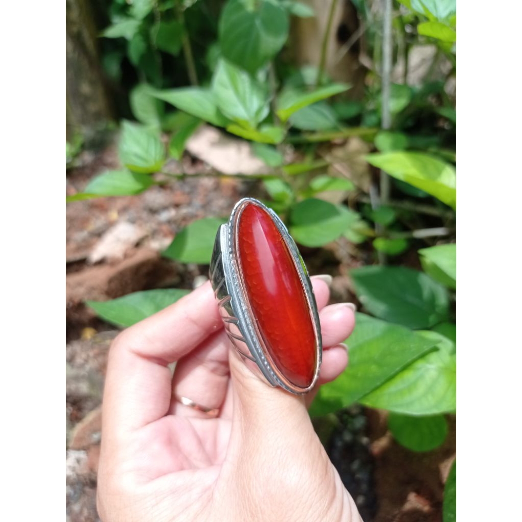 pandan kapas, pandan merah jamblang sisik betik.
