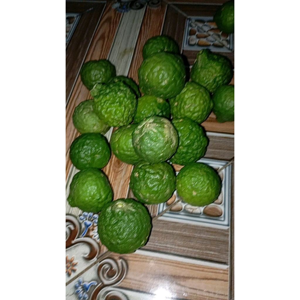 jeruk purut/jeruk masak 1kg