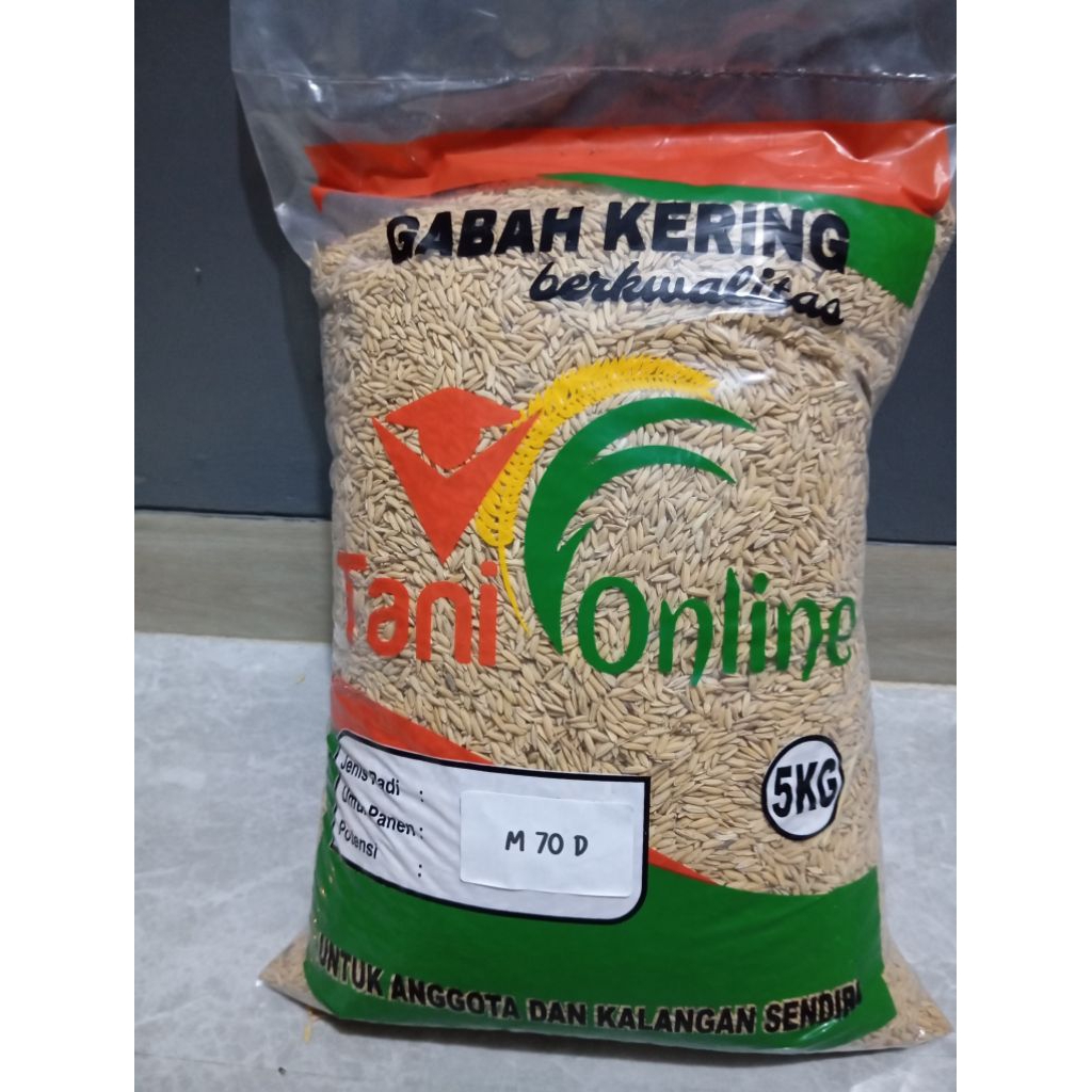 Bibit Padi unggul  M 70D