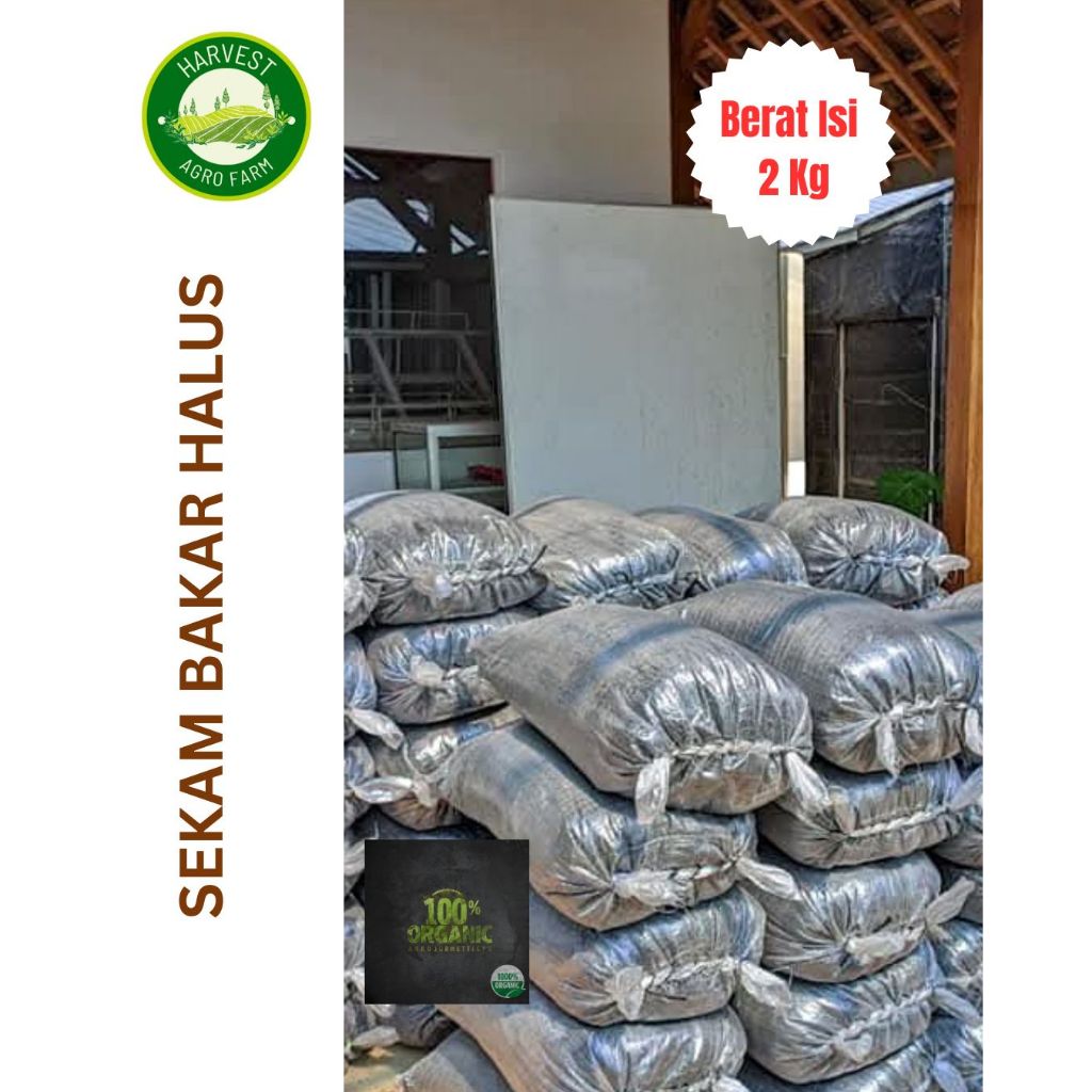 [HARVEST] SEKAM BAKAR HALUS ISI 2 KG