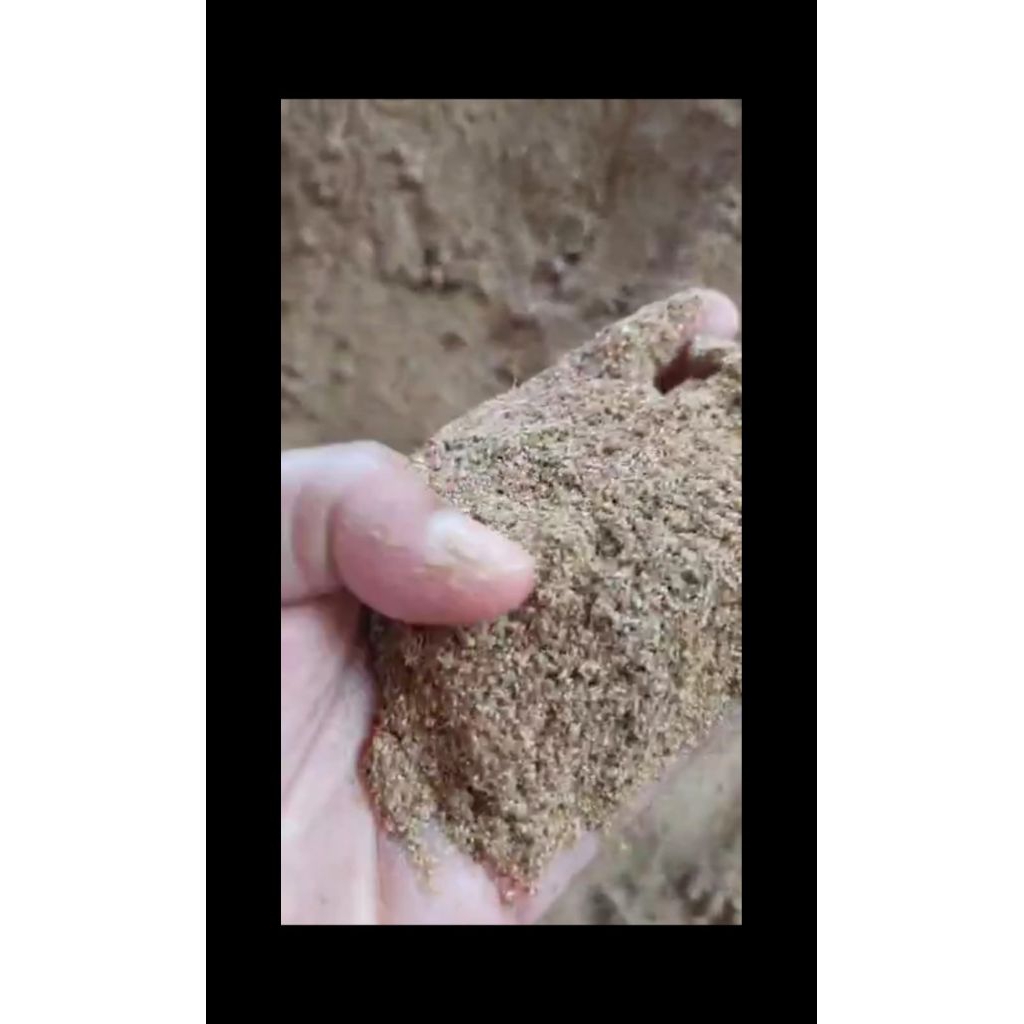 konsentrat wilmar 50kg