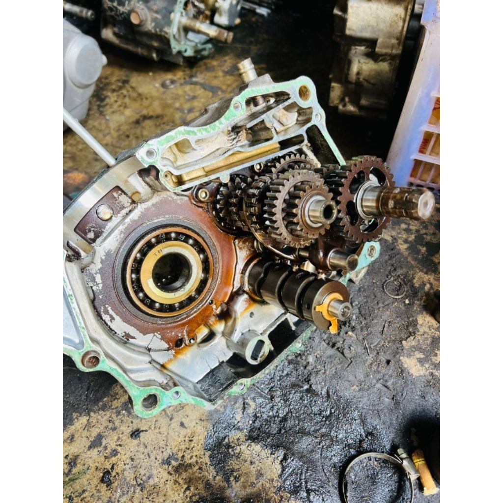 rasio megapro primus original