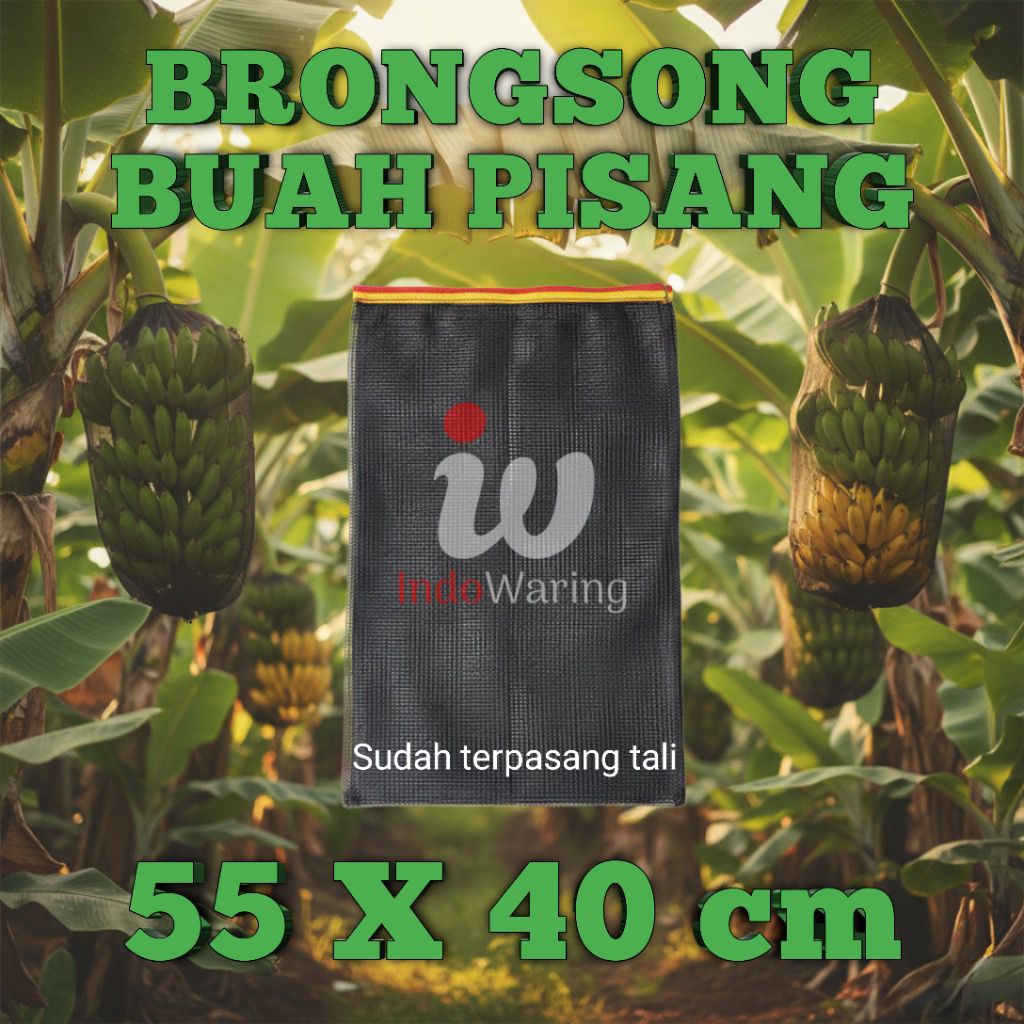 BRONGSONG BUAH PISANG – BAHAN WARING HITAM UKURAN JUMBO