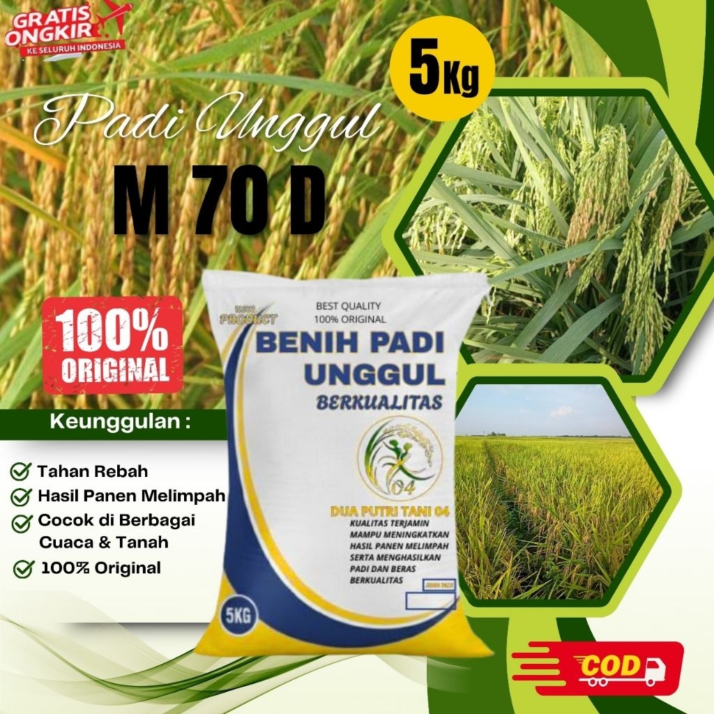 bibit PADI M 70 D kemasan 5kg