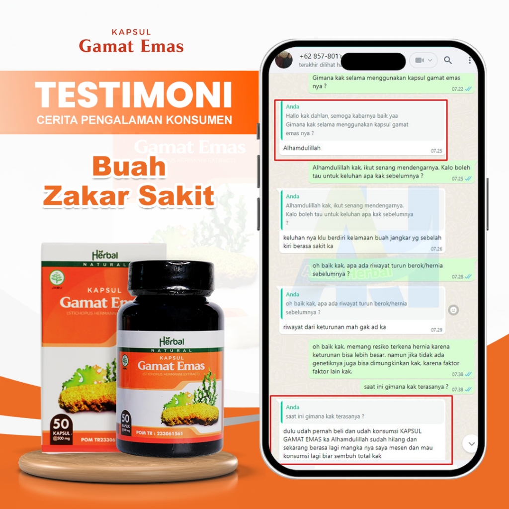 Obat sakit buah zakar pria - Kapsul Gamat Emas Obat Nyeri Skrotum Testis Pria - Buah Zakar pria Memb