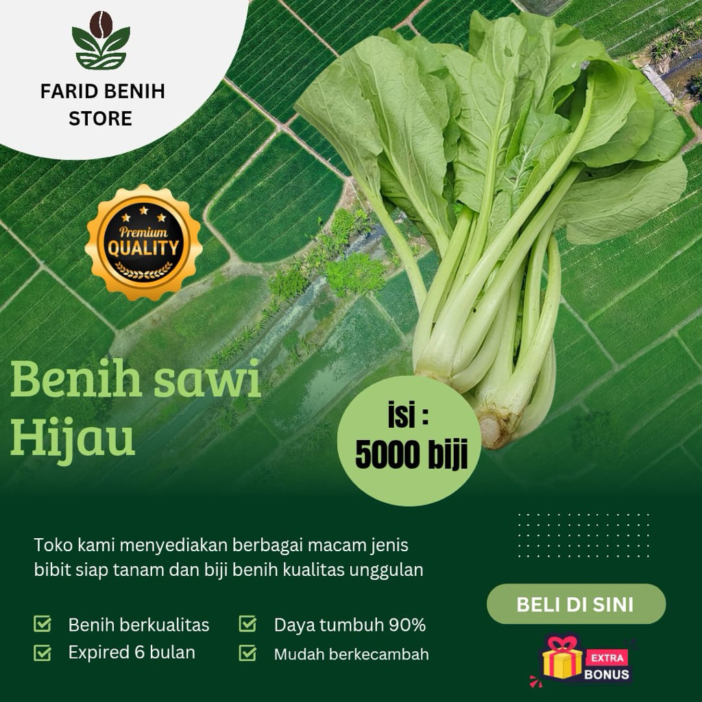paket jumbo 5000 biji benih sawi hijau /caisim unggul