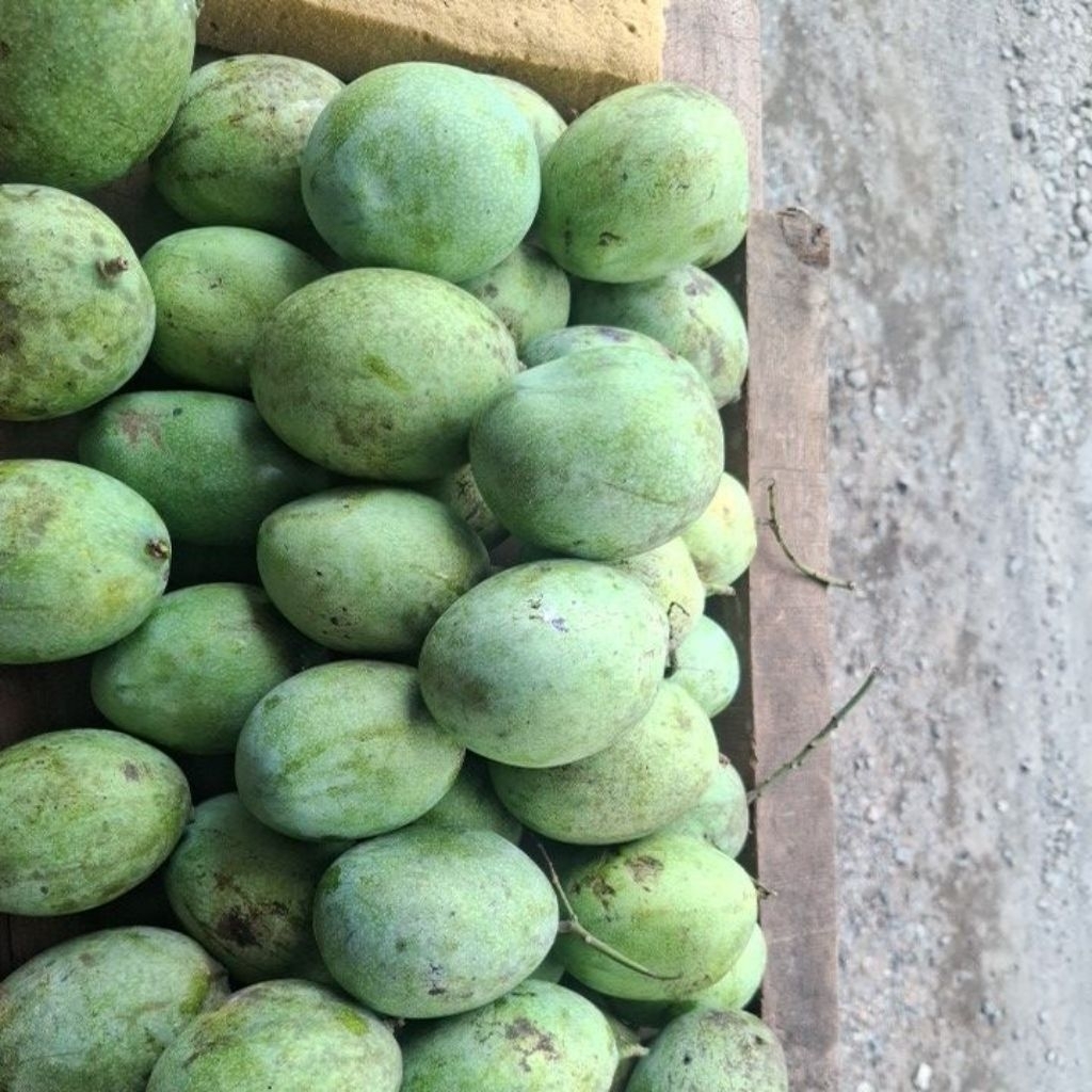 MANGGA MANALAGI MADU