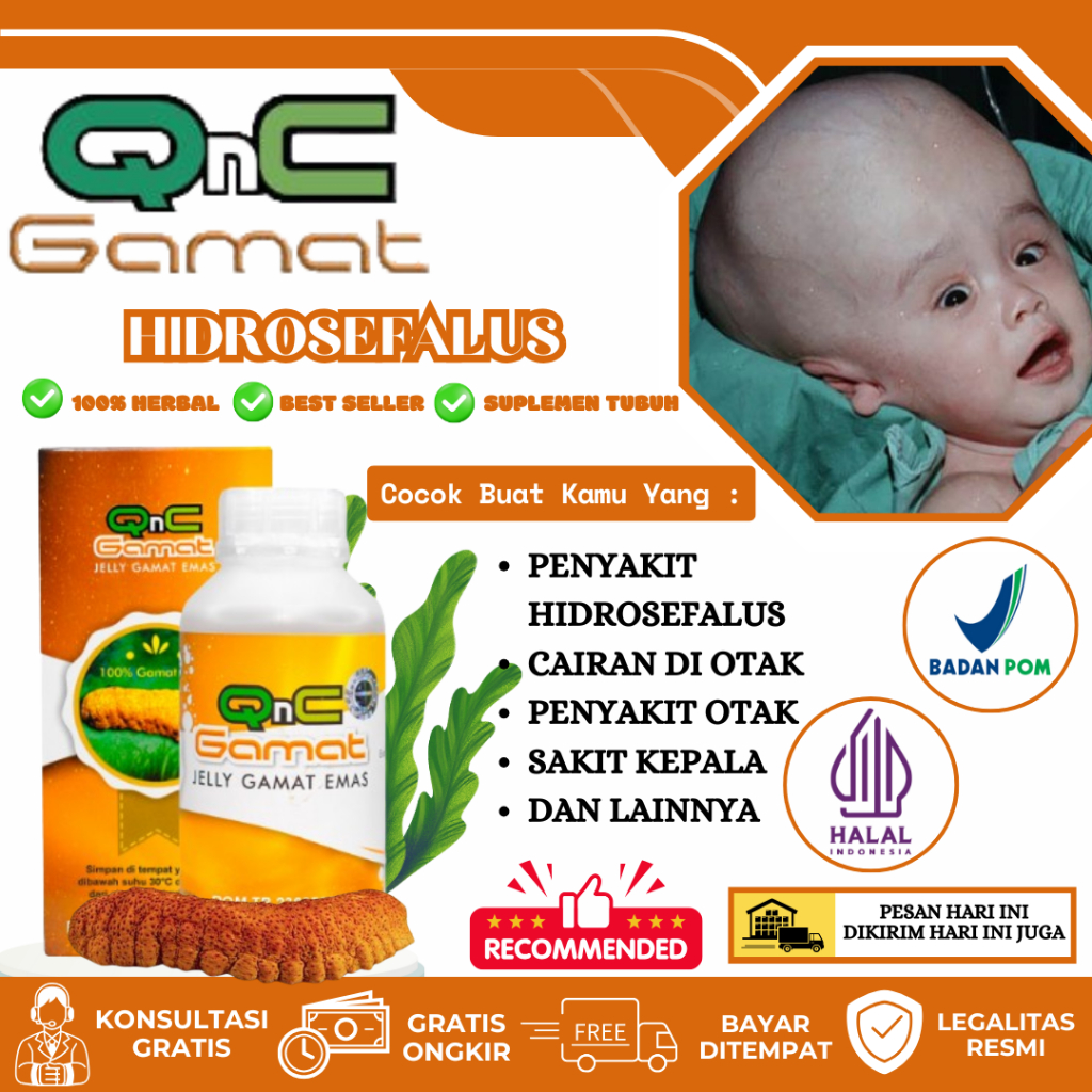 Obat Hidrosefalus Hydrocephalus Penumpukan Cairan Di Rongga Otak Tumor Jinak Herbal QnC Jelly Gamat 
