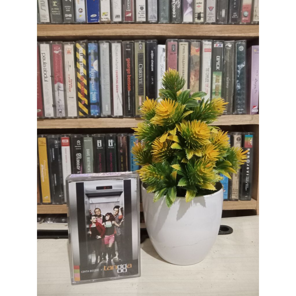 KASET TANGGA CINTA BEGINI