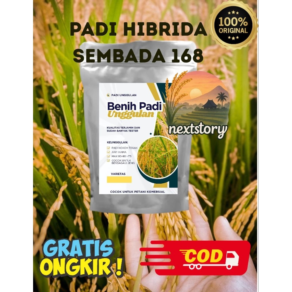 Sembada 168 Asli 2025 Padi Hibrida 1kg Benih Padi Varietas Unggul untuk Kebutuhan Pertanian Anda map