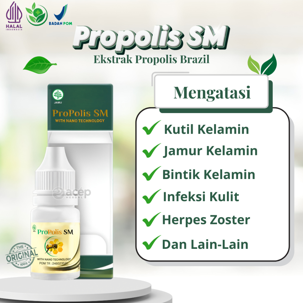 Propolis SM Obati Kutil Kelamin Jamur Kelamin Bintik Kelamin Herpes Zoster Infeksi Kulit