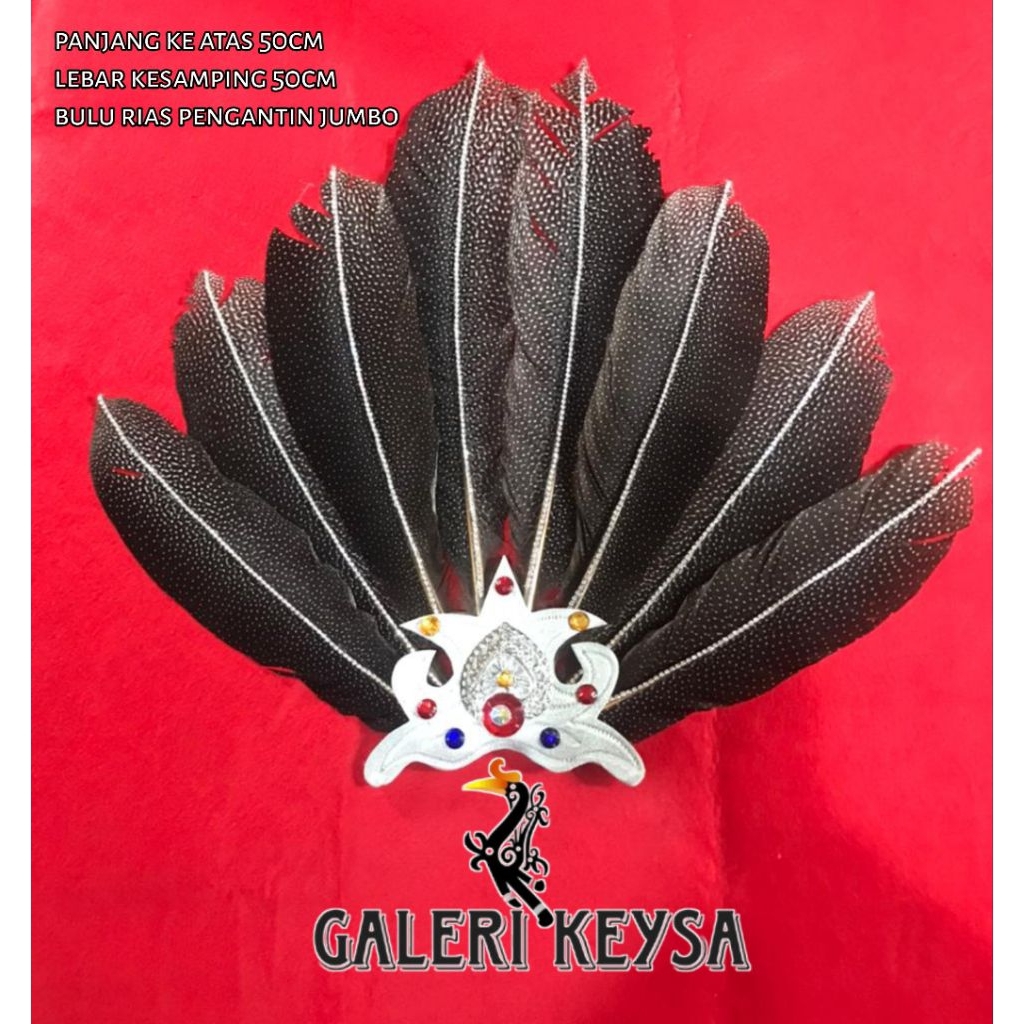 rangkaian bulu ruai wanita Dayak jumbo