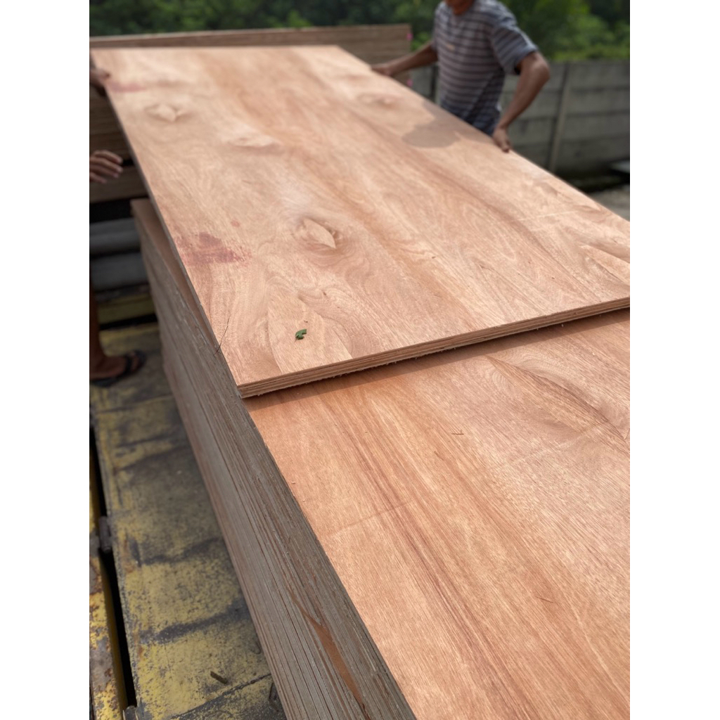 Triplek 8mm/12/18 mc untuk playground 122x244