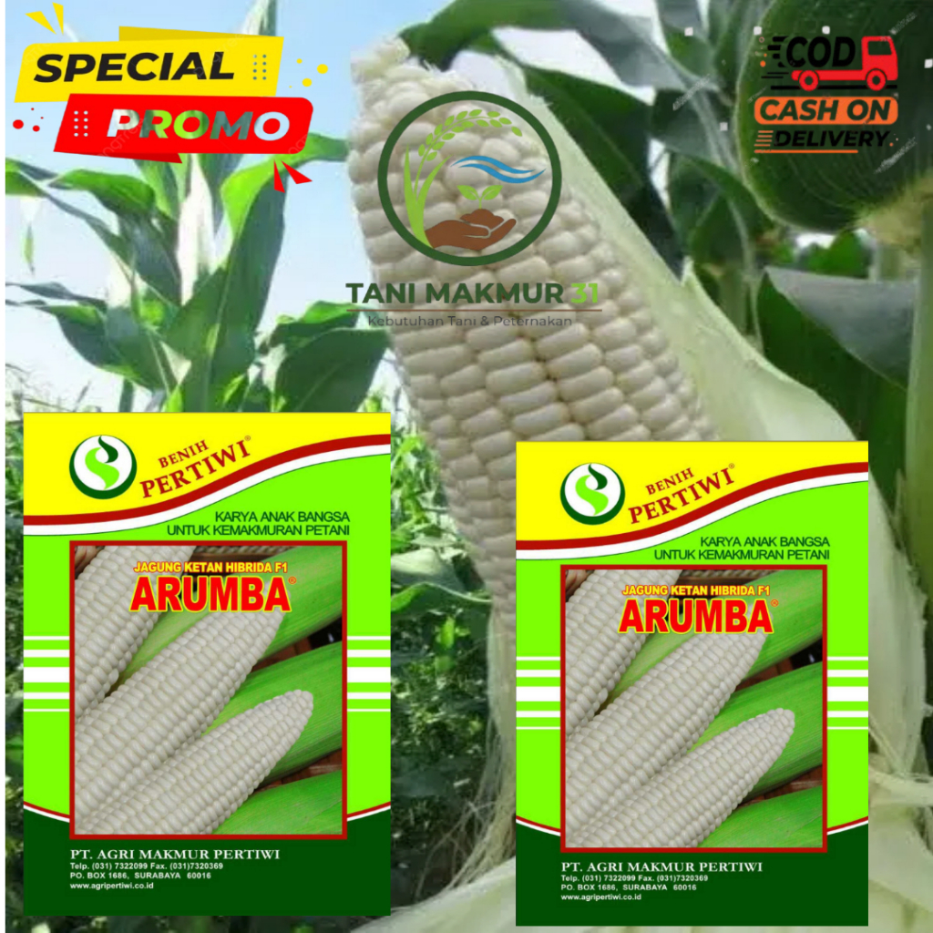 ARUMBA Benih jagung ketan/pulut hibrida F1 Arumba pertiwi 250 gram