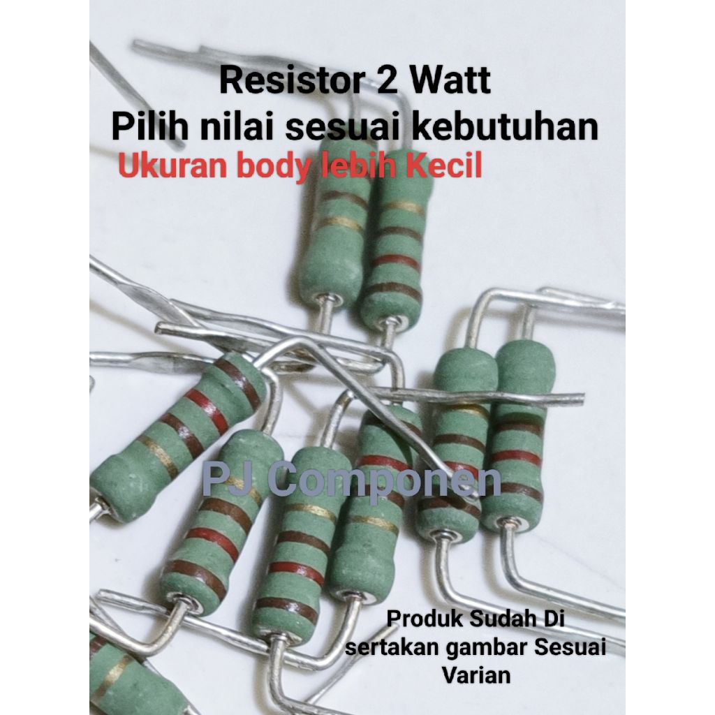 10 Biji Resistor 2 Watt 0,1 Ohm, 3 Ohm, 12 Ohm, 20 Ohm, 24 Ohm dll Pilihan sesuai kebutuhan