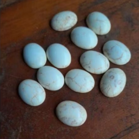 batu akik pirus putih natural howlite keren 20x15mm