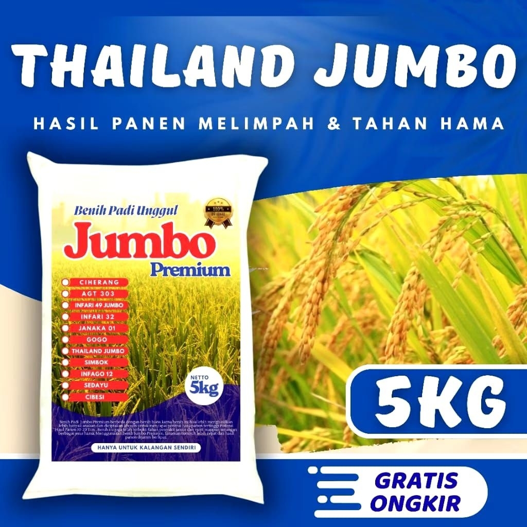 Benih bibit padi 5kg Thailand jumbo