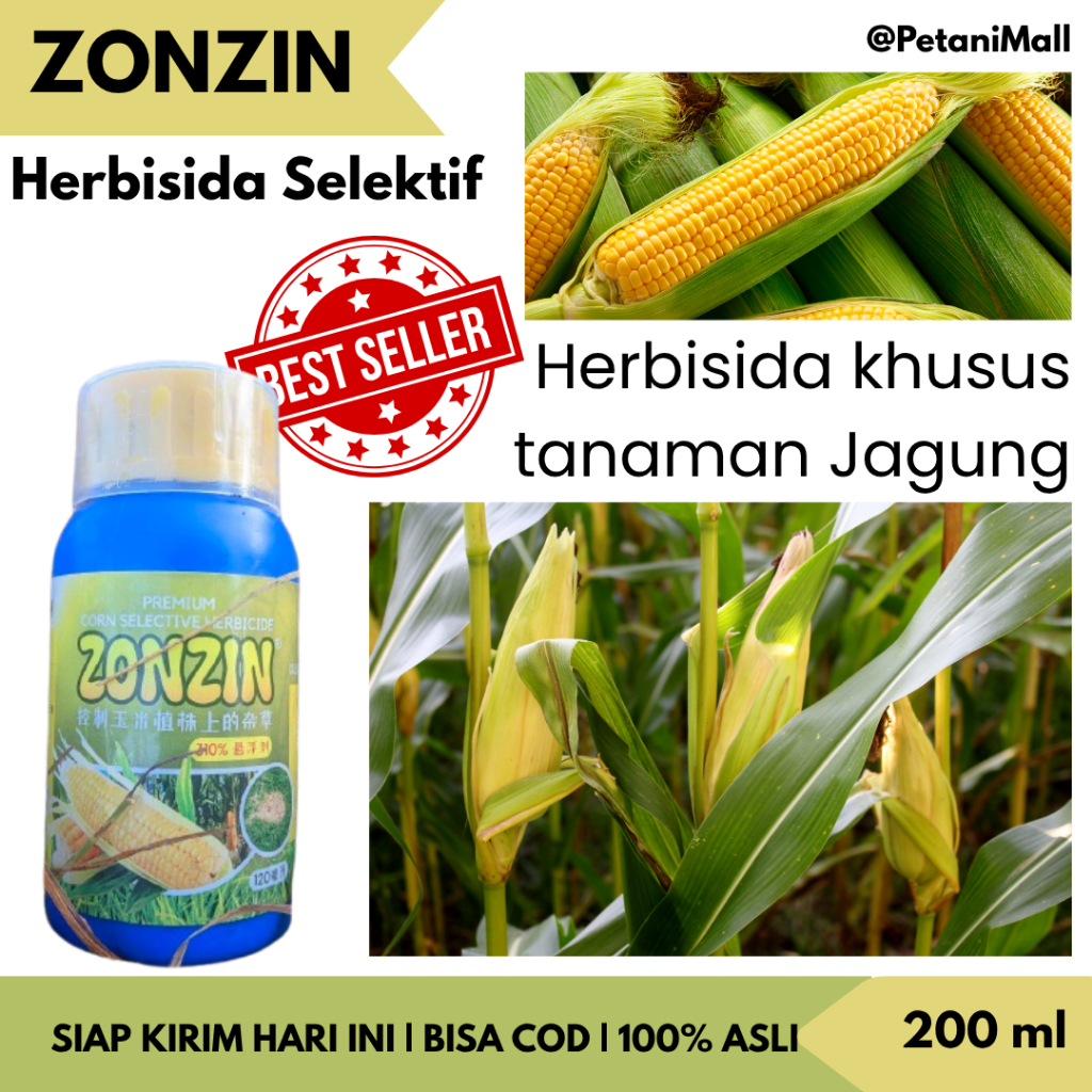 ZONZIN RACUN RUMPUT SISTEMIK KHUSUS JAGUNG