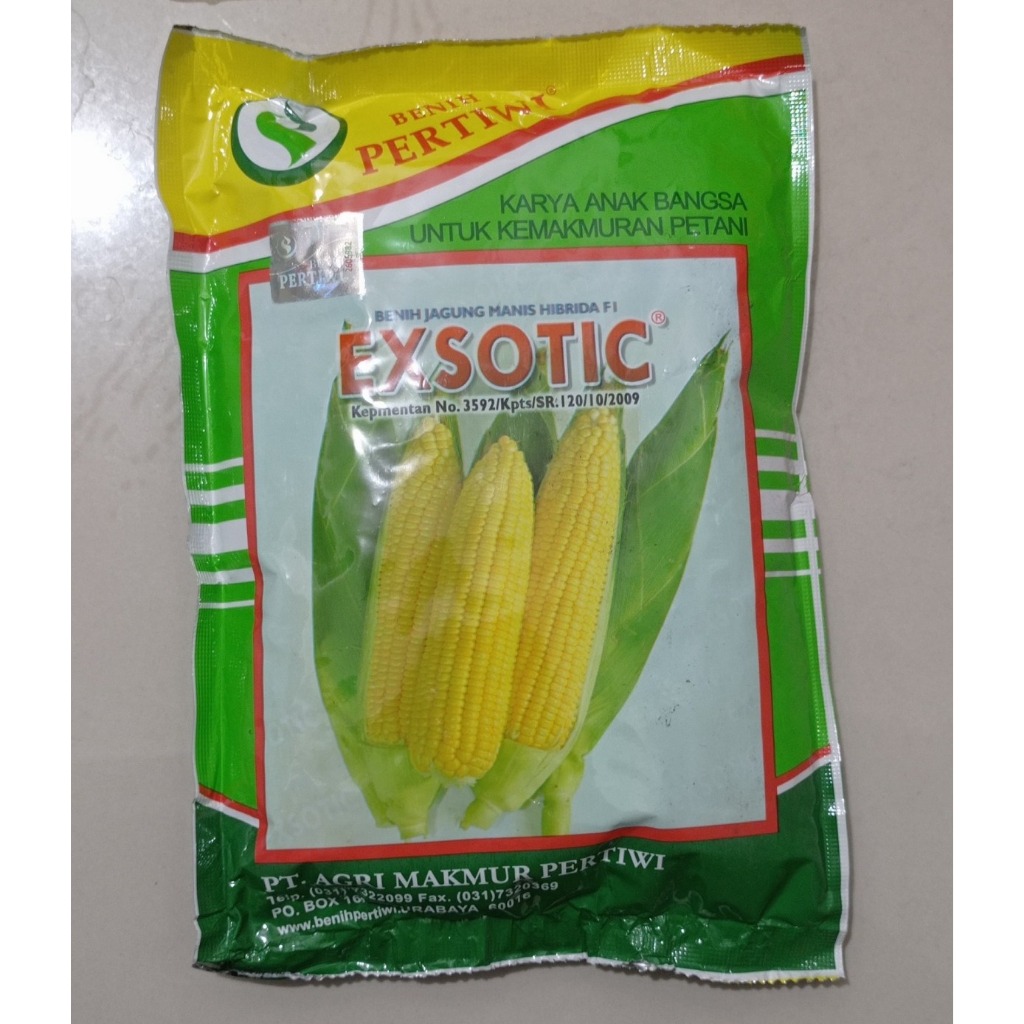 Benih Jagung Manis Hibrida Exotic 1750 Biji || Benih Jagung Manis Exotic 1750 Biji Manis