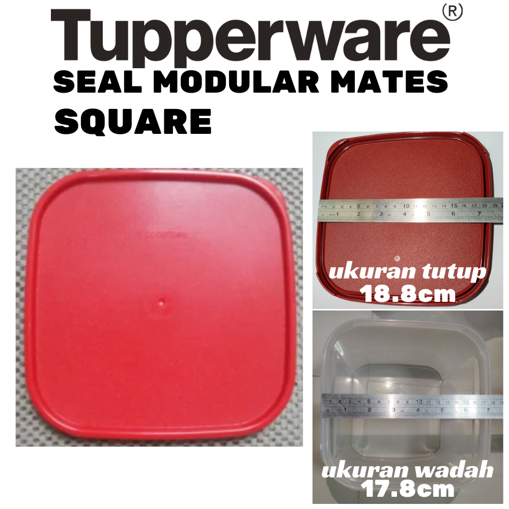 Tupperware Seal MM Square Tutup Original Seal Modular Mates Square