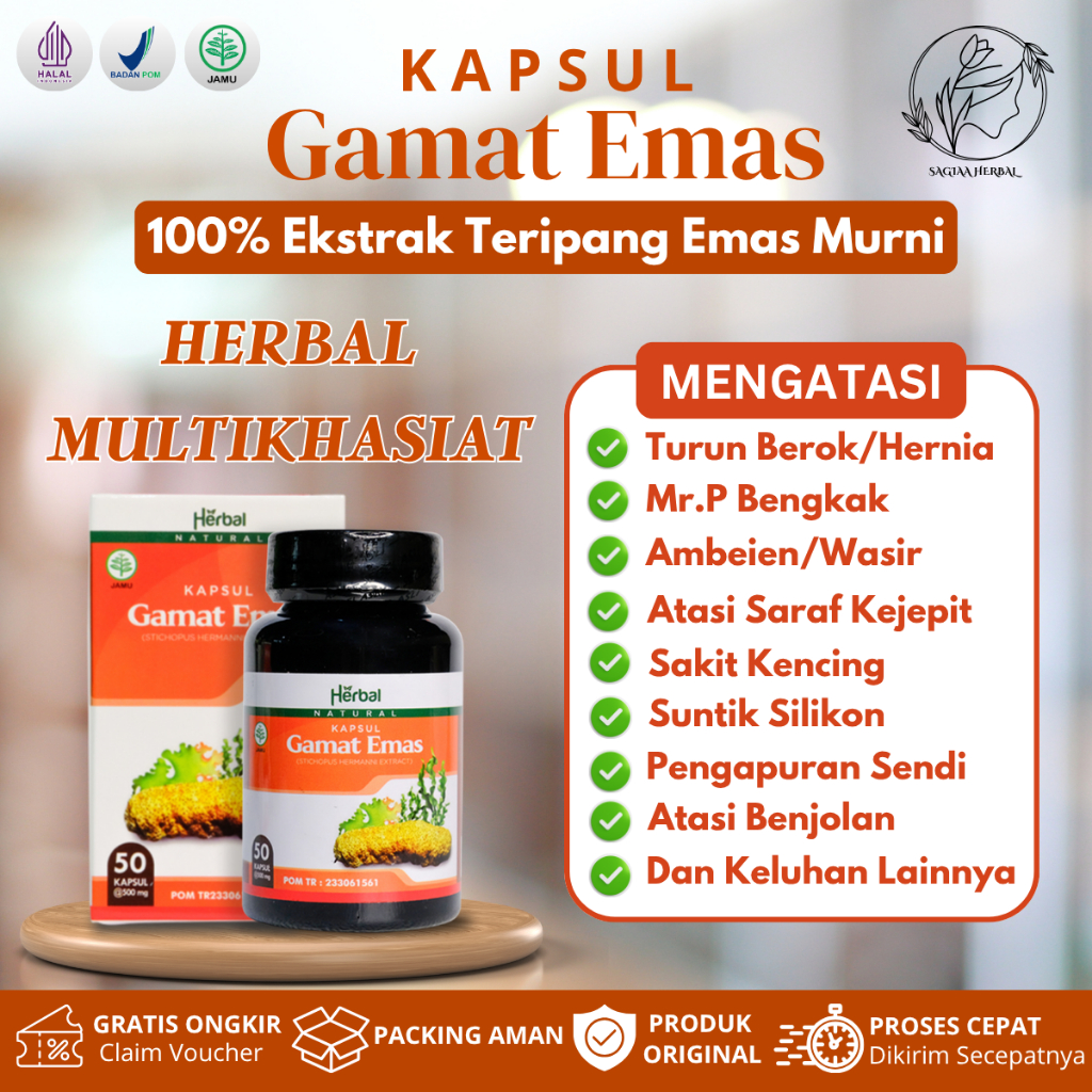 Kapsul Gamat Emas Obat Untuk Hernia Ambeien suntik silikon saraf kejepit pengapuran benjolan 100% Or