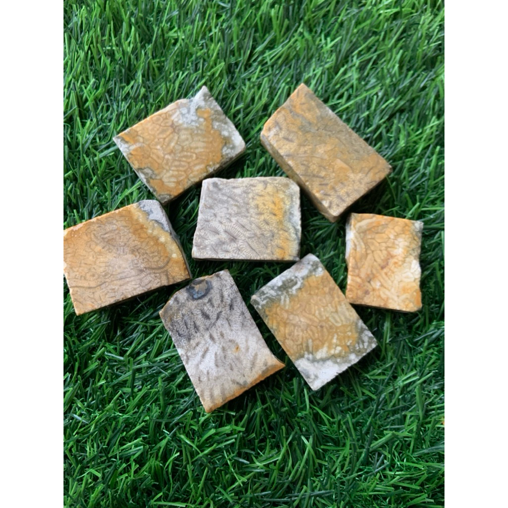 Bongkahan akik batu kelabang