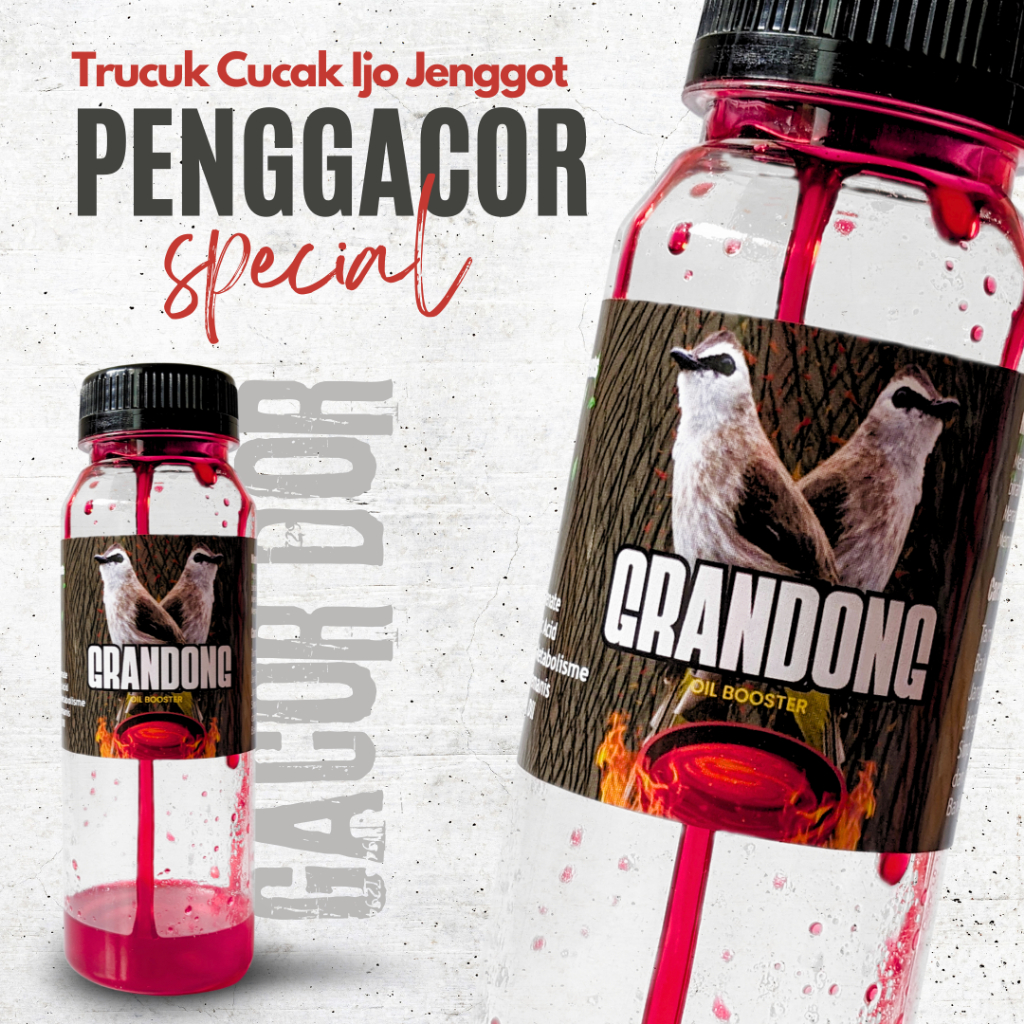 GRANDONG Doping Burung Trucukan Cucak Ijo Jenggot Kapas Tembak Ropel Cepat Gacor
