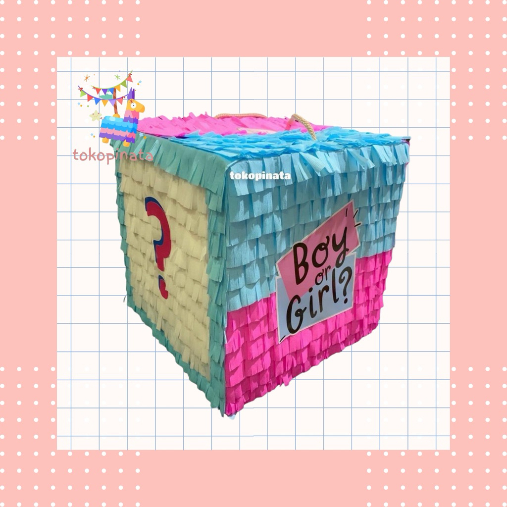 Pinata Gender Reveal / Pinata Baby Gender Reveal / Pinata Genderreveal