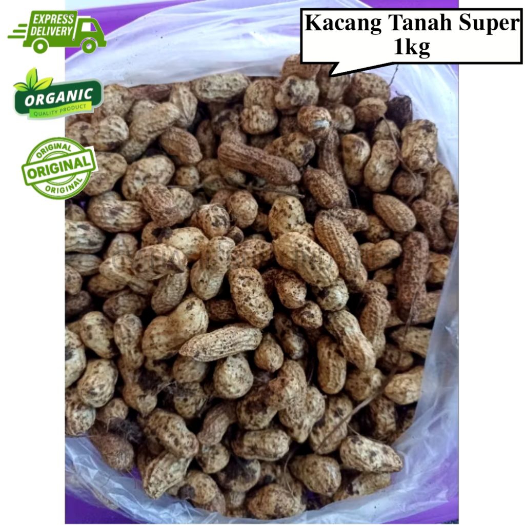 Kacang tanah super 1kg kacang tanah segar